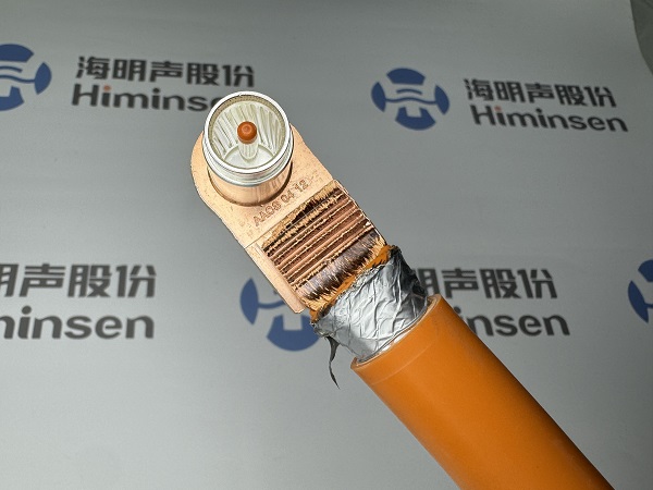 0903 D02G 95平銅線1 - 副本.JPG